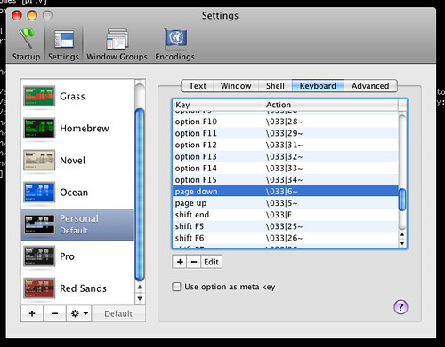 Leopard Terminal